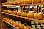 Dutch cheese, Zaanse Schans, Zaandam near Amsterdam, Holland (The Netherlands), Europe