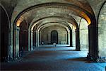 Portico in Palazzo della Pilotta, Parma, Emilia Romagna, Italy, Europe