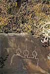 Petroglyphen, Santa Fe County, New Mexico, Vereinigte Staaten von Amerika, Nordamerika