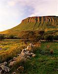 Benbulben at sunset, near Sligo, County Sligo, Connacht, Republic of Ireland (Eire), Europe