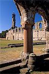 St. Rule's tower from the priory, St. Andrews Cathedral dating from the 14th century, St. Andrews, Fife, Scotland, United Kingdom, Europe