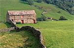 Traditional barn in upper Swaledale, Yorkshire Dales National Park, Yorkshire, England, United Kingdom, Europe