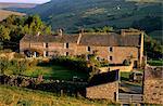 Farm near Gunnister, Swaledale, Yorkshire Dales National Park, Yorkshire, England, United Kingdom, Europe