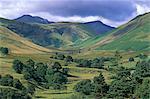 Keskadale und Derwent Fells in der Nähe von Keswick, Lake District-Nationalpark, Cumbria, England, Vereinigtes Königreich, Europa
