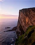 Da Rokness vertical cliff at sunset, with puffins, Foula, Shetland Islands, Scotland, United Kingdom, Europe