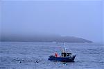 Pêche bateau, îles Shetland, Ecosse, Royaume-Uni, Europe