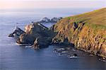 Falaises de Hermaness Nature Reserve, regardant vers le nord vers Vesta Skerry, Tipta Skerry régurgitée, Muckle Flugga et son phare au loin, Unst, îles Shetland, Ecosse, Royaume-Uni, Europe