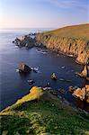 Falaises de Hermaness Nature Reserve, regardant vers le nord vers Vesta Skerry, Tipta Skerry régurgitée, Muckle Flugga et son phare au loin, Unst, îles Shetland, Ecosse, Royaume-Uni, Europe