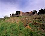 Castello di Brolio and famous vineyards, Brolio, Chianti, Tuscany, Italy, Europe