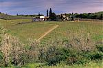 Vignobles à San Donato, Chianti, Toscane, Italie, Europe