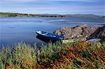 Baie tranquille et bateau près Adrigole, péninsule de Beara, Munster, comté de Cork, République d'Irlande, Europe