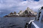 Little Skellig Island, bird reserve and largest gannet colony in Ireland, near Skellig Michael, County Kerry, Munster, Republic of Ireland, Europe