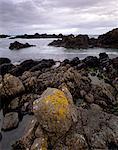 Côte rocheuse, la côte d'Antrim, comté d'Antrim, Ulster, Irlande du Nord, Royaume-Uni, Europe