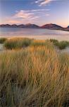 Marram grass and beach near Luskentyre, looking towards North Harris Forest Hills, South Harris, Outer Hebrides, Scotland, United Kingdom, Europe