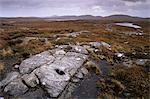 Lewisian gneiss, one of the oldest rocks on earth formed 2 billion years ago, Isle of Lewis, Outer Hebrides, Scotland, United Kingdom, Europe