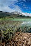 Loch Cill Chriosd et Beinn na Caillich, 732 m, Isle of Skye, Hébrides intérieures en Écosse, Royaume-Uni, Europe