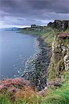 Falaises basaltiques qui domine son Raasay, côte de Skye, Trotternish, Isle of Skye, Hébrides intérieures en Écosse, Royaume-Uni, Europe