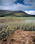 Red Cuillins range, Isle of Skye, Inner Hebrides, Scotland, United Kingdom, Europe