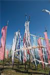 Buddhist prayer flags on Cheli La Pass (3810mt), from Paro to Haa Valley, Paro, Bhutan, Asia