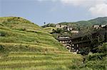 Longsheng en terrasses de rizières, Guilin, Province du Guangxi, Chine, Asie