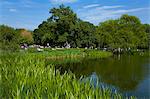 Turtle Pond area in Central Park, New York City, New York, United States of America, North America