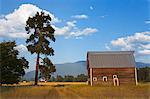 Barn near Kalispell, Montana, United States of America, North America