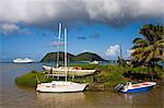 Indian River, Portsmouth, Dominica, Lesser Antilles, Windward Islands, West Indies, Caribbean, Central America