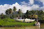 Indian River, Portsmouth, la Dominique, petites Antilles, au vent Iles, Antilles, Caraïbes, Amérique centrale