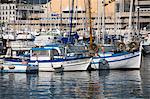 Pêche bateaux, Vieux Port, Cannes, Alpes Maritimes, Provence, Côte d'Azur, French Riviera, France, Méditerranée, Europe