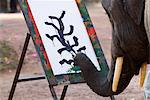 Elephant painting, Chiang Mai, Thailand, Southeast Asia, Asia