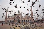Jama Masjid mosque, Delhi, India, Asia