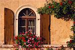 Fenêtre avec des volets et jardinière, Italie, Europe