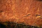 X-ray style fish, turtle, wallaby and white man at the Aboriginal rock art site at Ubirr Rock, dating from between 20000 years old to present, Kakadu National Park, Northern Territory, Australia, Pacific