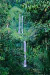 Wasserfall am Nordhang des 3726m Mt Rinjani Vulkan, nahe Senaru, Lombok, Indonesien