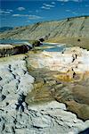 Limestone terraces formed by volcanic water depositing six inches of calcium carbonate a year, Mammoth Hot Springs and Terraces, Yellowstone National Park, UNESCO World Heritage Site, Wyoming, United States of America, North America