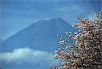 Die 3760m Volcan Agua, über Antigua, Guatemala, Zentralamerika