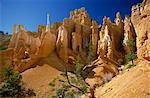 Bizarre rock sculptures in the Queens Garden of the Bryce Amphitheatre, formed by rapid erosion, Bryce Canyon National Park, Utah, United States of America, North America