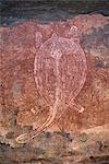 Painting of turtle at the aboriginal rock art site at Obirr Rock in Kakadu National Park where the paintings date from 20000 years old to modern, UNESCO World Heritage Site, Northern Territory, Australia, Pacific