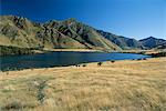 Moke Lake, west of Queenstown, west Otago, South Island, New Zealand, Pacific