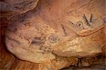 Peintures aborigènes de charbon de bois à l'abri sous roche de Yourambulla, près de Hawker, y compris les émeus et les kangourous pistes, Australie-méridionale, Australie, Pacifique