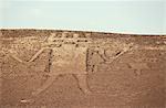 Riese von Atacama, Petroglyph, Chile, Südamerika