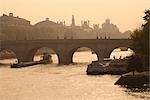 La Seine, Pont Neuf et Ile de la cité, Paris, France