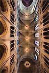 Ceiling of Notre Dame Cathedral, Paris, France