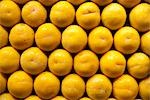 Close-up of Plums at La Boqueria