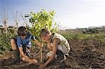 Two brothers planting tree