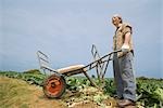 Senior man holding wheelbarrow