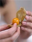 close-up physalis