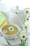 Teapot and teacup with camomile  blossoms