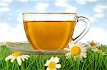 Camomile tea with blossoms in the grass
