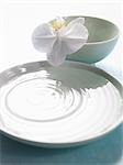 Arrangement of a bowl filled with water and a orchid blossom